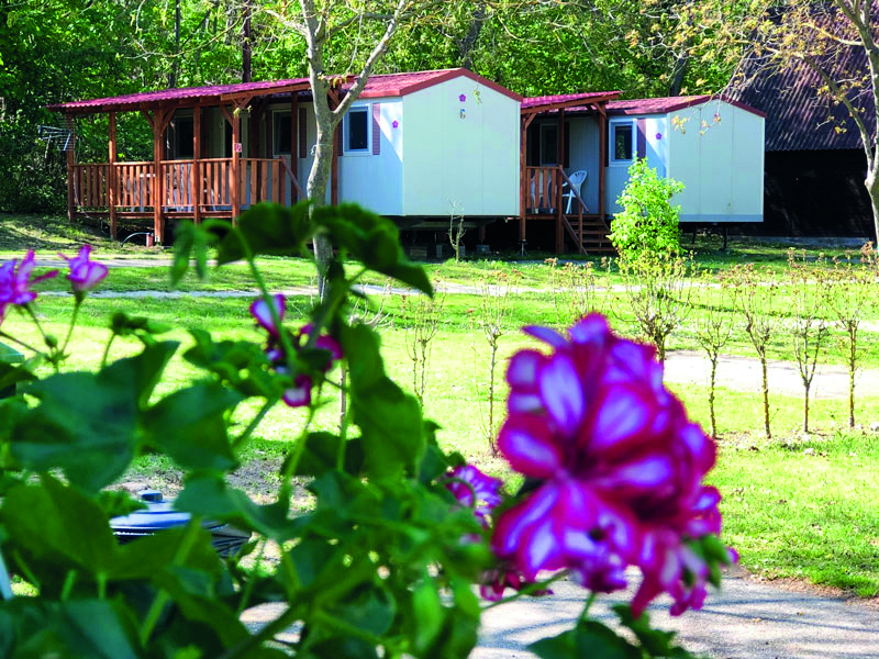 delta camping